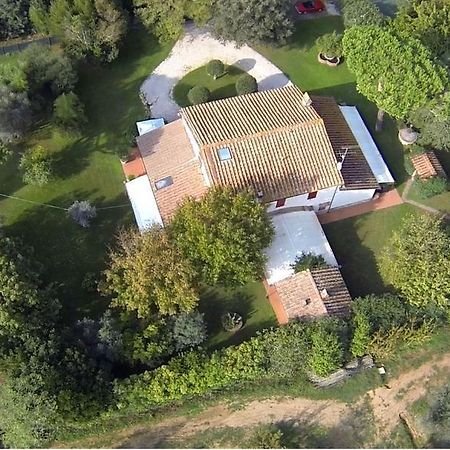 Relais Felciaino B&B Bolgheri Chambre photo
