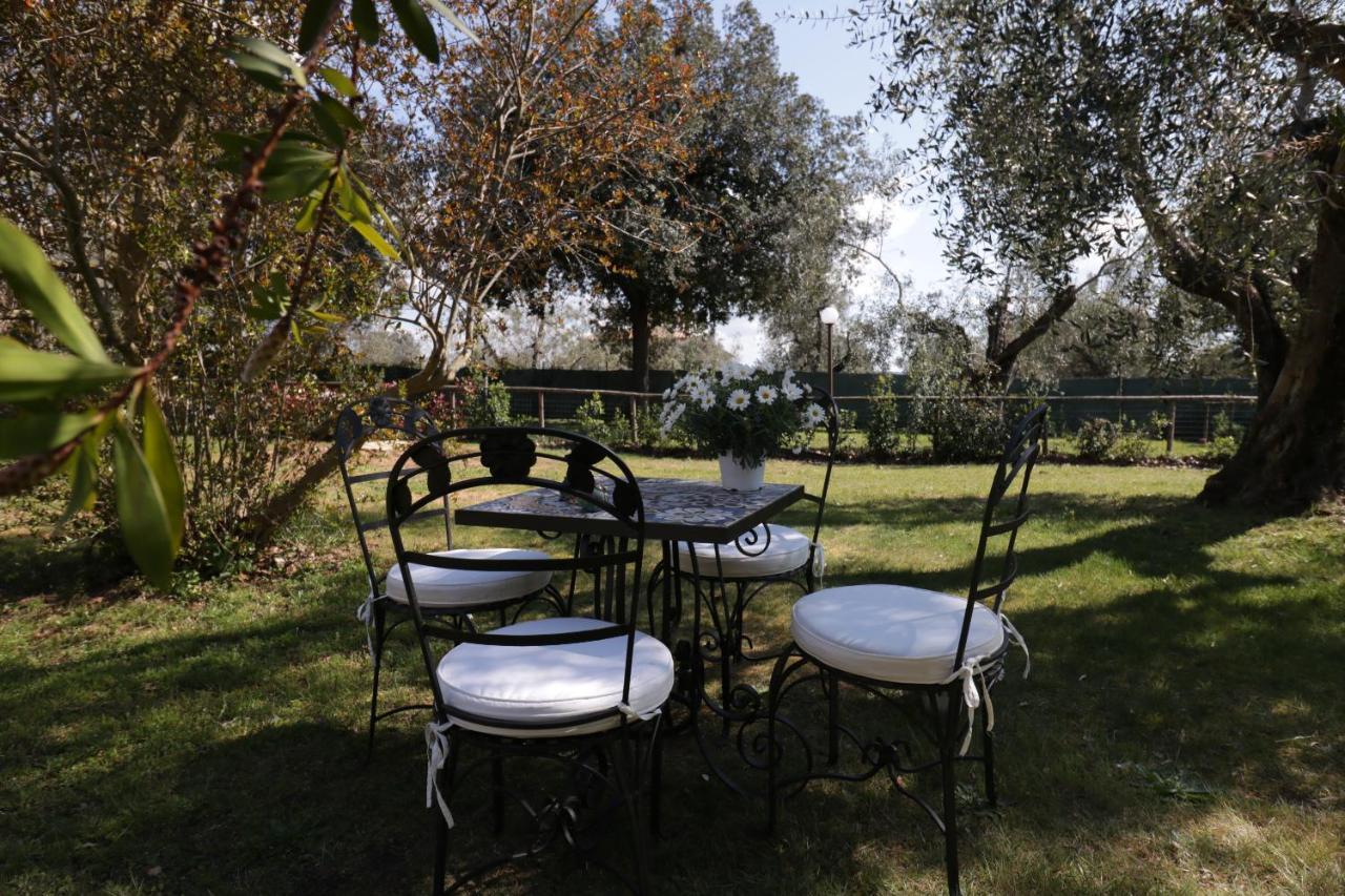 Relais Felciaino B&B Bolgheri Extérieur photo