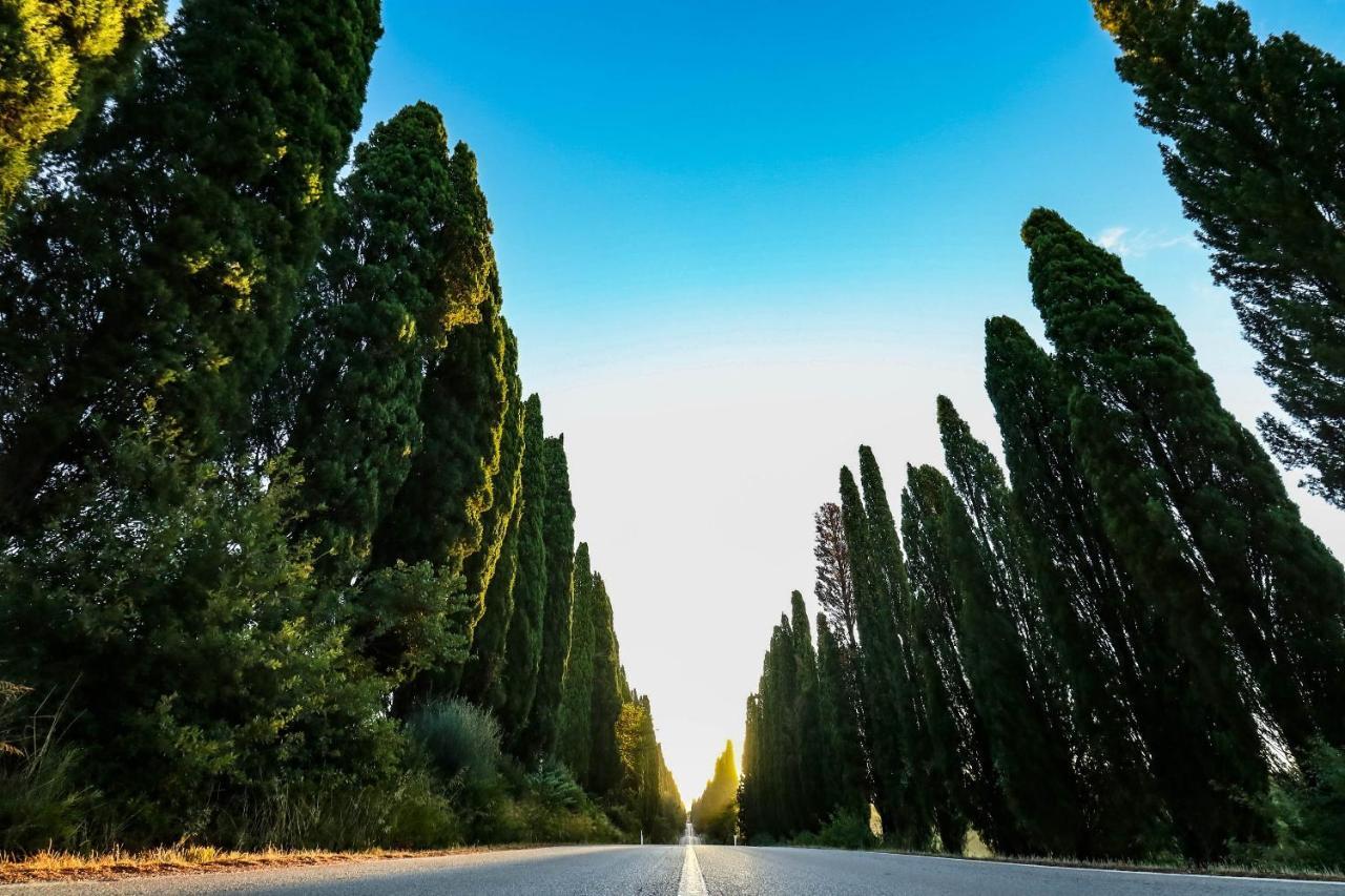 Relais Felciaino B&B Bolgheri Extérieur photo