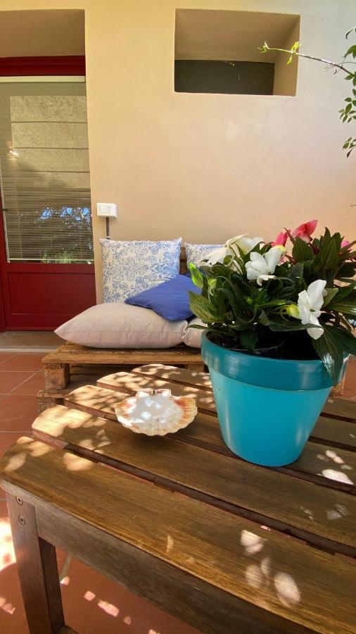 Relais Felciaino B&B Bolgheri Extérieur photo