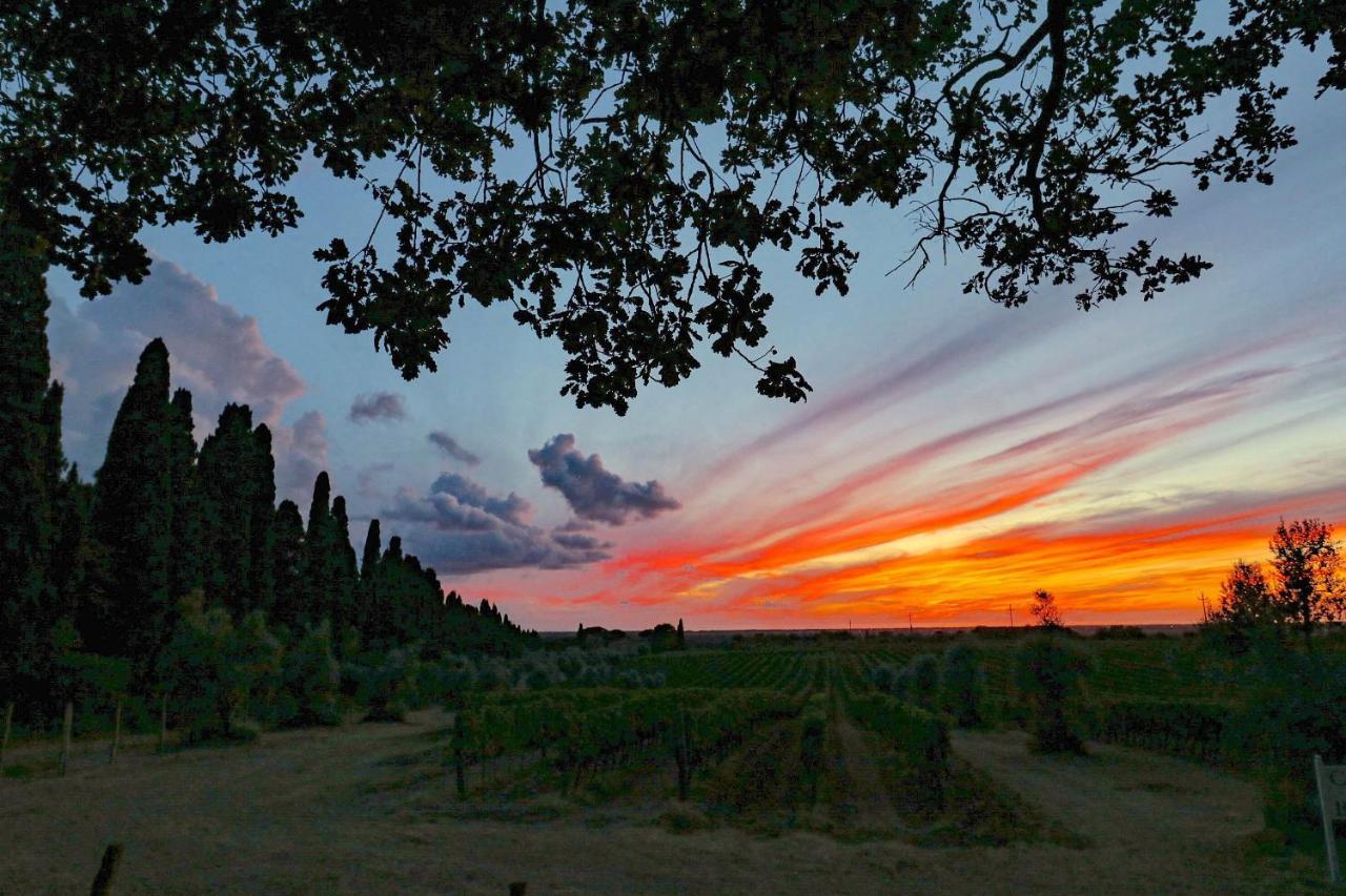 Relais Felciaino B&B Bolgheri Extérieur photo