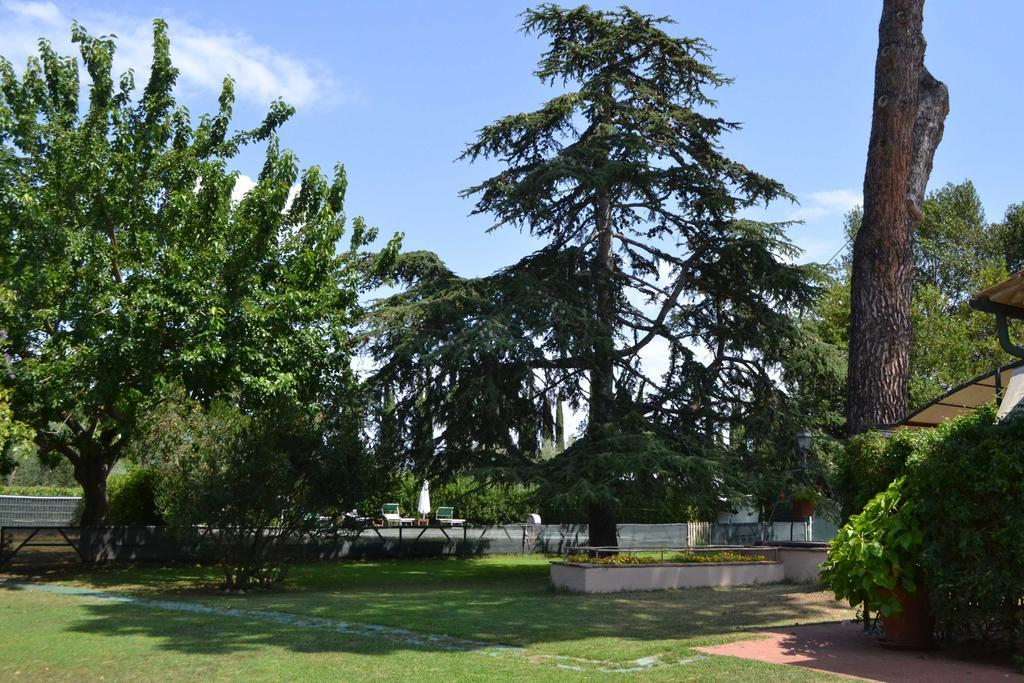 Relais Felciaino B&B Bolgheri Extérieur photo